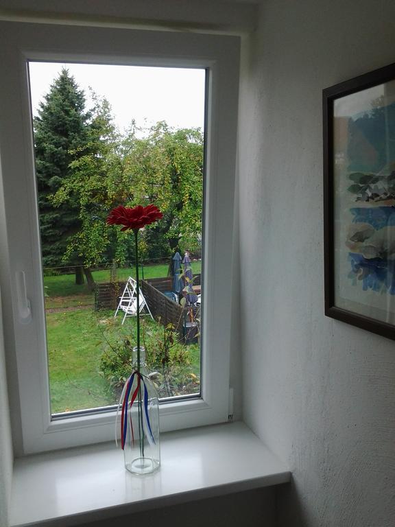 Oldenstadter Wassermuhle Uelzen Bagian luar foto